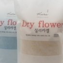 댓츠라잇