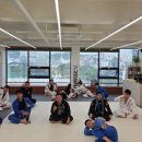 호수체육관 | 서산주짓수 체육관 서산주짓수아카데미 오전 11시 타임 다니는 후기