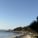 대천해수욕장 스카이바이크 이미지