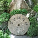 성지화원