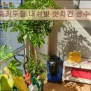 11500-19-25-02 | 서울 성수동 맛집 추천! 롸카두들 내쉬빌 핫치킨 성수점 서울 성수동 핫 치킨 맛집