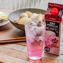 레드모토 이미지