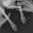 청라호수동물메디컬센터 이미지