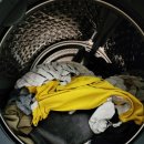 모란세탁 | 친환경세제 대용량 가성비 큐펠 고농축 액체 세탁세제 추천 후기