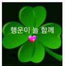 😂💚이케 착하시궁 반듯 하신분을 백장미는 본적이 없어용 그냥 잘~모르지만 멋진분이 그냥 좋습니당ㅎㅎ 이미지