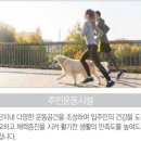 더파크포레태영아파트 이미지