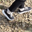 야생화편지 | 드림파크야생화단지