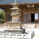 명 진 Daum카페