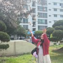 또오이소 이미지