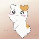 금경 | [숭실대 금융경제학과] 3년 조기졸업 후기