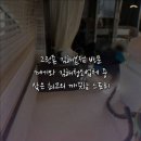 그린죤 | 그린죤 김해본점 방문 계기와 김해청소업체 중 찾은 최고의 깨끗함 스토리
