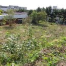 서호동-12 이미지