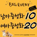 인천동물심장내과
