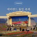 랜드하우스 | 에버랜드 튤립 축제 기간 + 판다 세컨하우스 평일 오후 웨이팅 후기