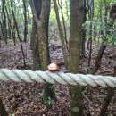 물영아리오름 | &lt;제주오름&gt; 비오는 날의 물영아리 오름