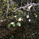 서광자연 이미지