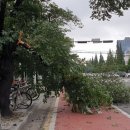 창원대로-1 이미지