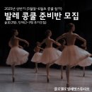 (상반기)발레핏 네이버블로그