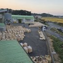 서천군농협쌀조합공동사업법인 이미지