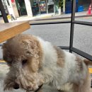 사평대로20길 7 이미지