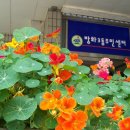 방화3동 주민센터 이미지