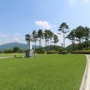 라데나 골프클럽 이미지