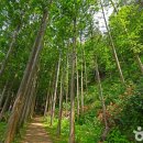 화인투어 이미지