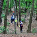 무봉산둘레길 이미지