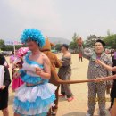 사랑방카페 Daum카페