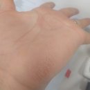 원고개마트 | 인생 최장거리 400 브레베 대구