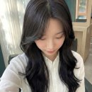 경기도 수원시 권선구 덕영대로1142번길 8-1 (세류동) | 위스퍼그로브 | 세류동 미용실 S컬펌 엘리자벳펌 플라워펌 잘하는 곳