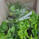 제일농약사2 이미지