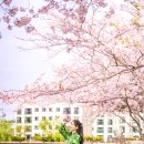 씨유 서귀호근점 이미지