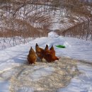 수호농장 이미지