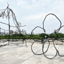 새하늘 NEW SKY 이미지