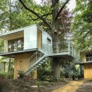 숲속의 집 이미지