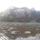 개군농협주유소 이미지