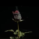 천우시스템(주) | 천우연의 「3분 연극사」 8화