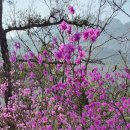 성빈한의원 이미지