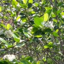 이건농장 이미지