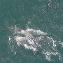 종달로가 이미지