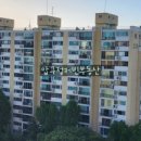 압구정-203 이미지