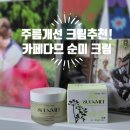 네이처 잉크 | 주름개선크림 추천! 카페다므 비건화장품 순미 네이처 크림 솔직한 사용 후기