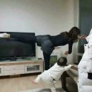 모전자전 이미지