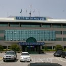 영월군청 앞 이미지