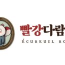 빨강다람쥐 이미지