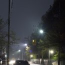 아이스마트코리아