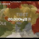 브링홈