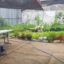 신세기주유소 이미지