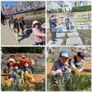 지역사회연계활동- 무거동 궁거랑 벚꽃축제 이미지